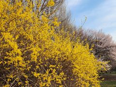 -长春公园(普阳街道)