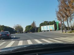 -上海长兴岛郊野公园