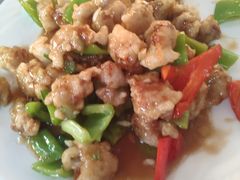 -东北菜冰城一家人