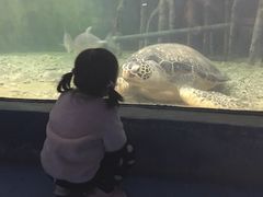 -苏州海洋馆
