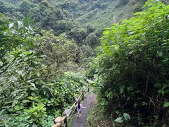 -海口火山口国家地质公园