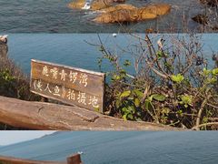 -鹿嘴山庄