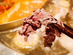 -陈记顺和潮汕牛肉火锅(棠德南路店)