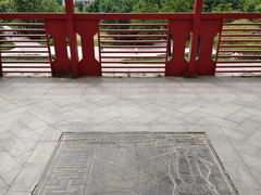 -大望京公园