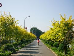 -西瓜小镇