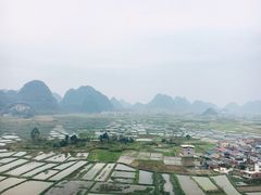 -会仙湿地