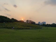 -河南财经政法大学(郑东校区)