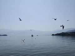 -西昌邛海湿地