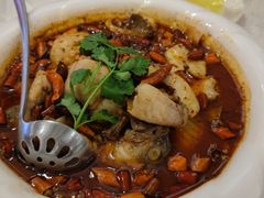 酸菜水煮鲈鱼-荣粤酒家·融合粤菜