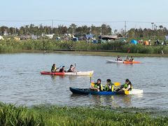 -春花秋色城市公园