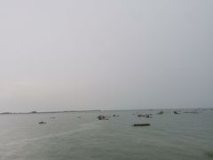 -北海金海湾红树林生态旅游区