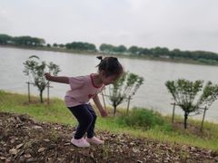 -漕湖湿地公园