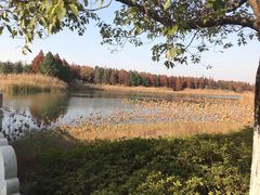 -苏州东太湖生态园