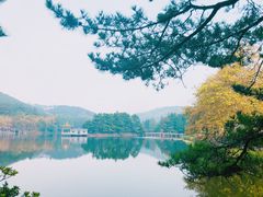 -庐山风景区花径公园