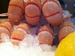 -Oyster Talks 四度蚝法餐厅