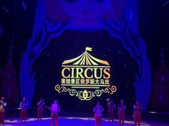 -俄罗斯国家大马戏团