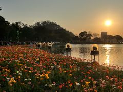 -顺峰山公园