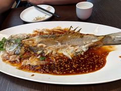-单家老院·院子里的青岛菜(沙子口店)