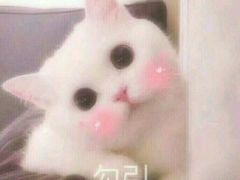 -万达影城(南昌融创茂IMAX店)
