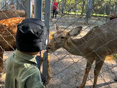 -长白岛森林公园