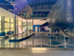 -上海海洋大学鱼文化博物馆(军工路校区)