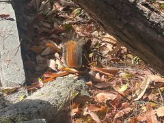 -重庆云阳龙缸景区