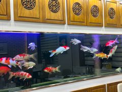 -天隆酒店·本地海鲜鲁菜(烟台大学店)