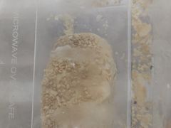 -江南蟹壳皇(新民桥店)