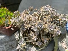 -亭下湖饭店(康岭店)