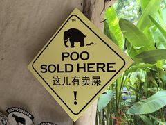 -大象粑粑造纸公园