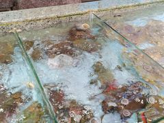 -快乐海鲜城(虎泉街店)