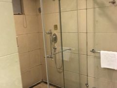 -圣爵菲斯大酒店(长沙世界之窗店)