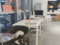 -亚美视光眼镜店(重庆路活力城店)