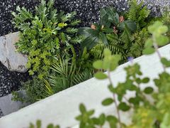 -漫笙舍Manse·咖啡·民宿
