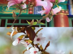 -丰台花园
