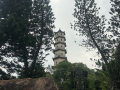 -江心屿景区