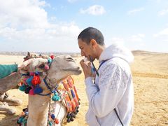 游乐设施-吉萨金字塔群