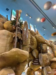 -卡通尼·Safari非洲探索乐园·生日会(金桥国际商业广场店)