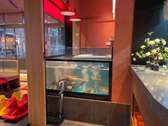 -鱼酷活鱼烤鱼(静安大融城店)