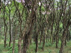 -长春市南湖公园