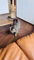 -优刻西服西装定制(金轮国际广场店)