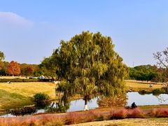 -钟山体育运动公园