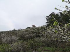 -广州市流溪河国家森林公园