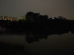 -福田红树林生态公园