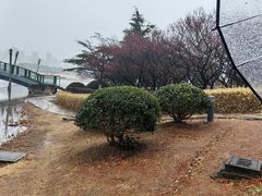 -白塘生态植物园