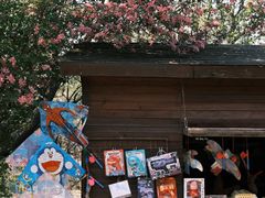 -长白岛森林公园