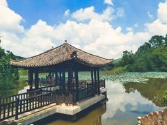 -老木棉·匠园