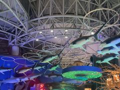 -烟台海昌鲸鲨海洋公园