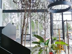 -桉树林A coffee 森林餐厅(三圣乡店)