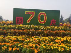 -大槐树寻根祭祖园